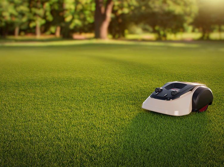 Mähroboter
