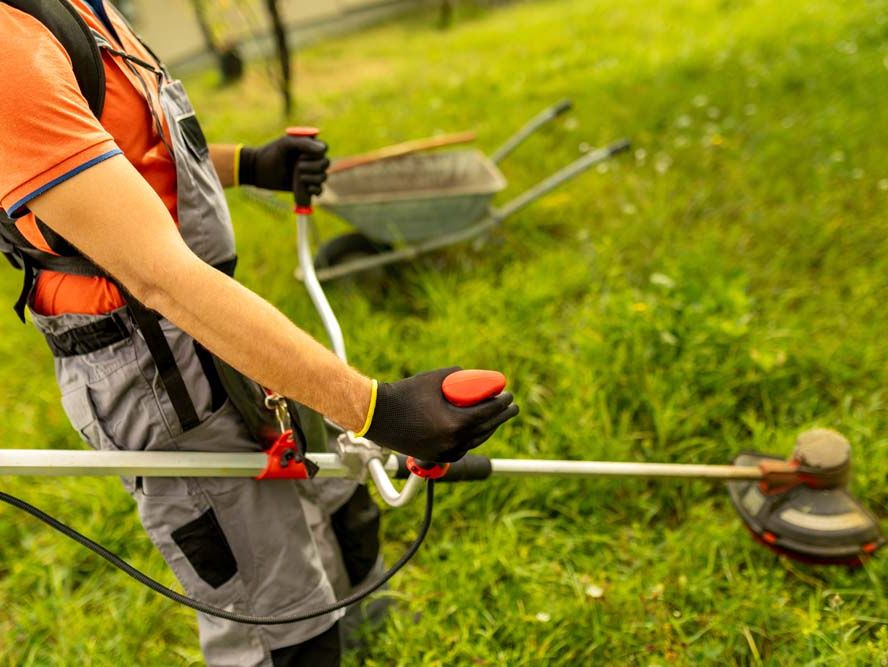 Trimmer & Motorsense